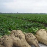 ³�������� ��������� �������� �������� ����� � ������ ����