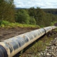 �� ������ ������� �������� ���������� �� 1,3 ���. ���. ��������� �������