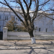 В Николаеве угрожали взорвать управление Юстиции В Николаеве угрожали взорвать управление Юстиции