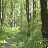 ���������� ������� ��������� ����� ������ � ����