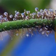 Вінничан впродовж тижня чекатиме прохолодна осінь та нічні «заморозки» Вінничан впродовж тижня чекатиме прохолодна осінь та нічні «заморозки»