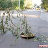 � ������� � �������������� ���� ������� ������ ������ ������