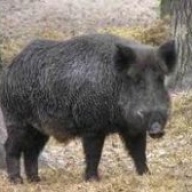 � ����������� ������ ������ ��������� ����� �������: ����� ��������� �� ����, ����� - ���������