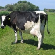 � ����������� ������� �� ��������� ������ ���� ����������� ������ �� 7 �� 10 ��� � ������������