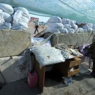 ���������� ���������: 