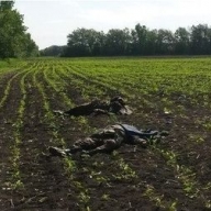 Выжившие в бою под Волновахой военнослужащие выведены с территории АТО, - Минобороны Выжившие в бою под Волновахой военнослужащие выведены с территории АТО, - Минобороны