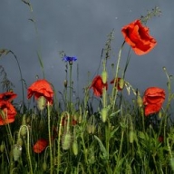 ������� ������� �����, ����� � �����