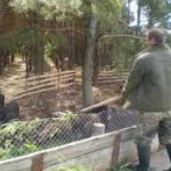 �� ³�������� � 15 ������ ��������� ��������� ��������� ������� ������� � ������������