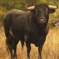 4 ������ ���� �� ³�������� ���� ��� ���