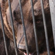 �� ���������� ������� ������� ������� ����