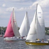 � ��������� ������ 3 ���� ������ ������ ��������� �����