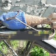 В райцентре Житомирской области остановили мужчину с миной на багажнике В райцентре Житомирской области остановили мужчину с миной на багажнике