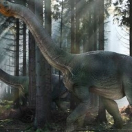 ���������� �������� ��������� � ������