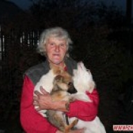 � ��������� ����������� ������� ����������� �������� �� ���� �������, ����� ��������� 26 ����� � 15 �����