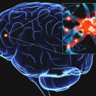 ������ ��������, ��� ��������� ������� ��������