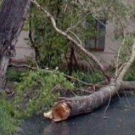 � ��������� ����������� ������� ����� ����� �������