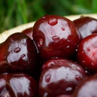 ����� �������� ��������� ���� � ������