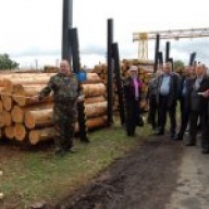 Житомирская милиция занимается расследованием схем лесхозов, по которым вывели «в тень» более 1 млн. грн. Житомирская милиция занимается расследованием схем лесхозов, по которым вывели «в тень» более 1 млн. грн.