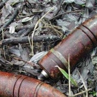 � ���������� ������� ����������� ����������� ���������� ������ �����