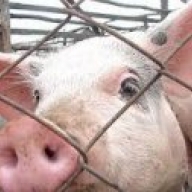 � ����������� ������ � ������� �������� ���� ���� 118 ������