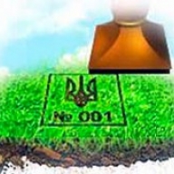 � ����������� ������ 270 ����� �������� �������� �������� ���� �� �����