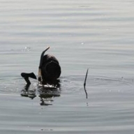 Подробности поимки банды, убивавшей водителей: двум жертвам удалось спастись Подробности поимки банды, убивавшей водителей: двум жертвам удалось спастись