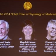 ����������� ������ �� �������� ��������� ����� ����� �������