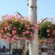 ³����� ��������� �������������� � �������� ������� ������