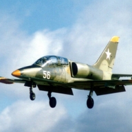 На Ивано-Франковщине аварийно приземлился военный самолет На Ивано-Франковщине аварийно приземлился военный самолет