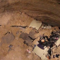 � ����� ������� 