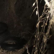 �� ������� � �� ������������ ���������� ������ ��� �������� �������� ���-25