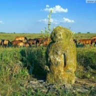 ���������� ������������ ������ �������� ��������������� ���