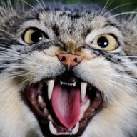 � ����������� ��-�� ���� 25 ����� ������� �������� ��� �����