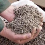 ����� � ������� � ����������� ������ �������� ����� ������������� ��������� ���������