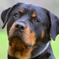 � ����������� ���������� ������ ������� � ������ ���������