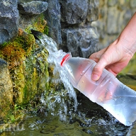 Активисты Активисты