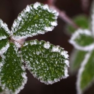 ������ ������ ����������