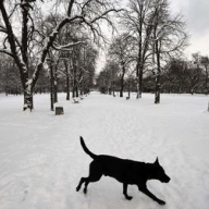 Погодный Армагеддон в Украине: многокилометровые пробки, задержки авиарейсов и аварии Погодный Армагеддон в Украине: многокилометровые пробки, задержки авиарейсов и аварии