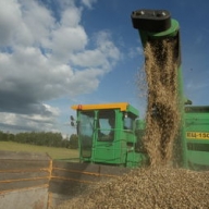 ������ ������� �������: ������ ����� � � ���� ����� �������� �����������