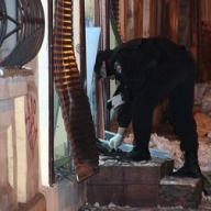 ����� ������� �������� ���������� ��������