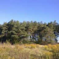 ��������������� ������� �� �������� ���������������� ������� ��� ��������� 5 �� ���� � ����������� �������