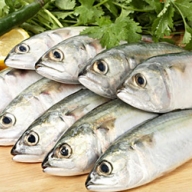 ������ 2012: � ����������� ����� � ������������� �������� ������� �����