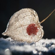 Завтра в Украине мерзко, но тепло Завтра в Украине мерзко, но тепло