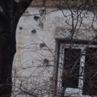 В Марьинке ребенок погиб на глазах у родителей В Марьинке ребенок погиб на глазах у родителей