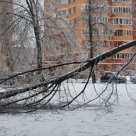 � �������� ������ ������� 9 ��������