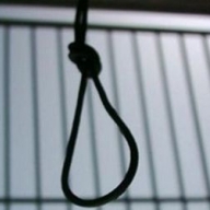 � ����� ��������� 22-������ ���� ����������