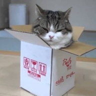 ������ ������ ��������� ������ ����� � ��������