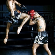 14 ������ � �������� ���������� �������� �������� �������� � ����������