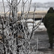 Поселок Широкино обстреливали из минометов Поселок Широкино обстреливали из минометов