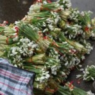 ���������� ������� ���������� ��� ������ �� �������� �������������� ���������